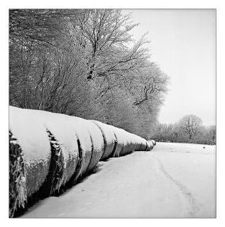 schneeballe_0