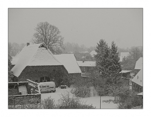 warnauer-winter-2009.jpg